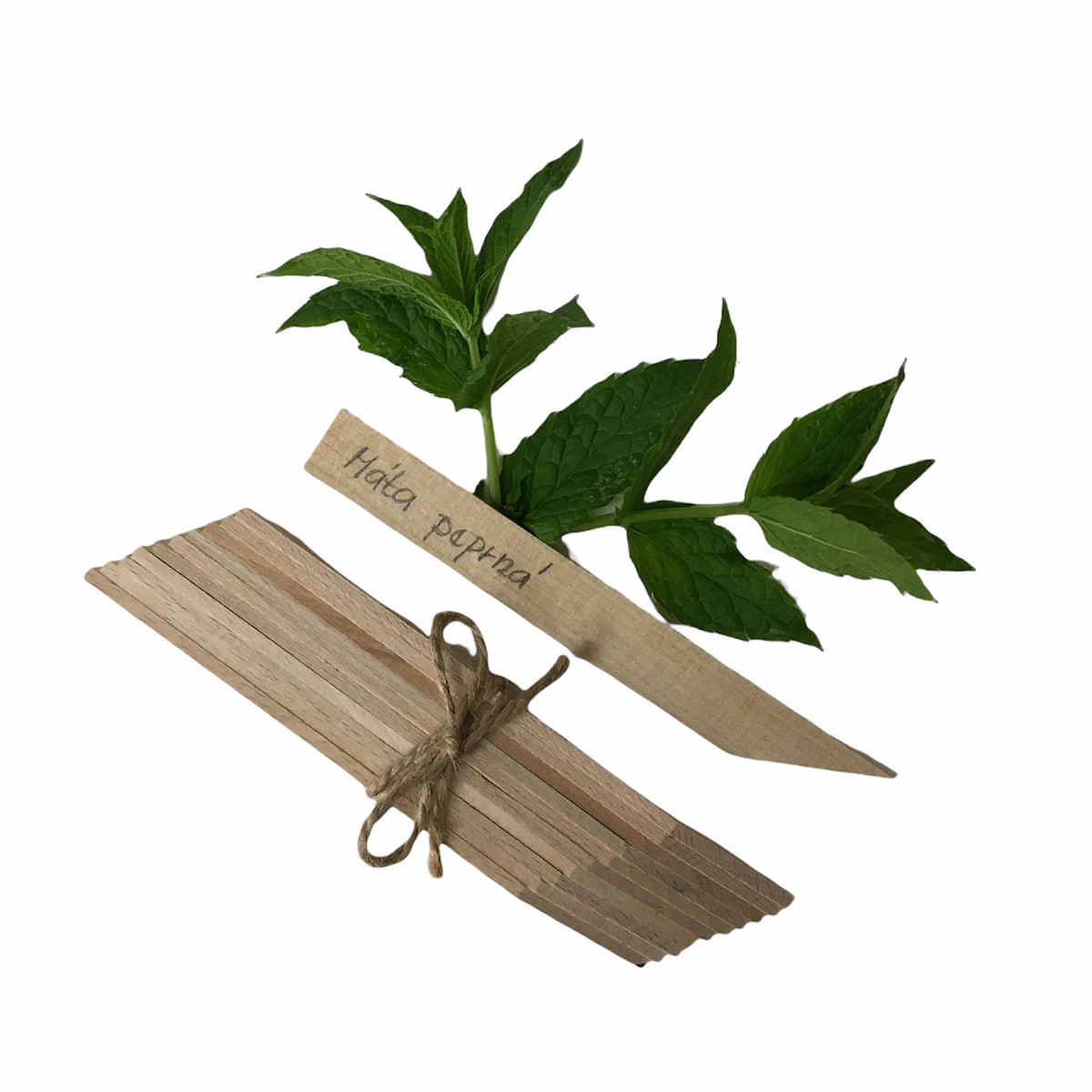 Zápichy pro označení sazenic - dřevěné - 10 ks