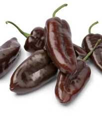 Paprika Sweet Chocolate - Capsicum annuum - semena papriky - 7 ks