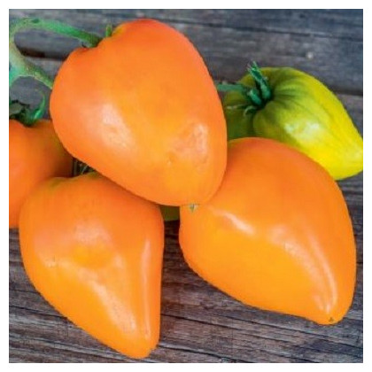 BIO Rajče Heart of Gold - Lycopersicon lycopersicum - bio semena rajčete - 10 ks