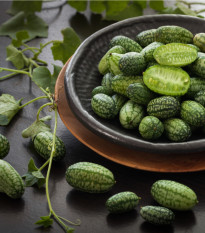 BIO Mexická mini okurka - Zehneria scabra - bio semena okurky - 5 ks