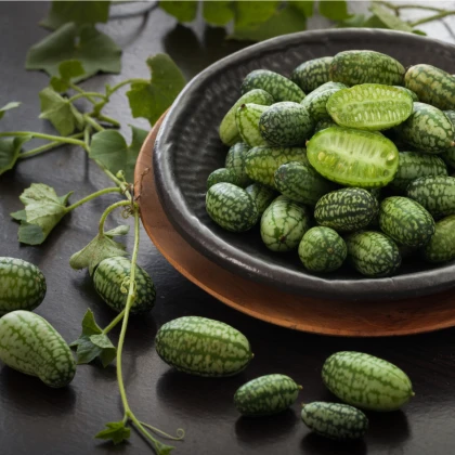 BIO Meksykański mini ogórek - Melothria scabra - bio nasiona ogórka - 5 szt.