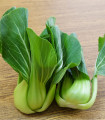 Pak Choi Shanghai - Brassica rapa chinensis - semena pak choi - 200 ks