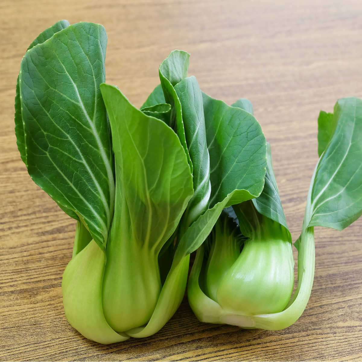 Pak Choi Shanghai - Brassica rapa chinensis - semena pak choi - 200 ks