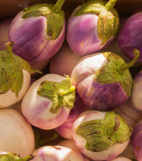 BIO Bakłażan Rosa Bianca - Solanum melongena - bio nasiona bakłażana - 20 szt.