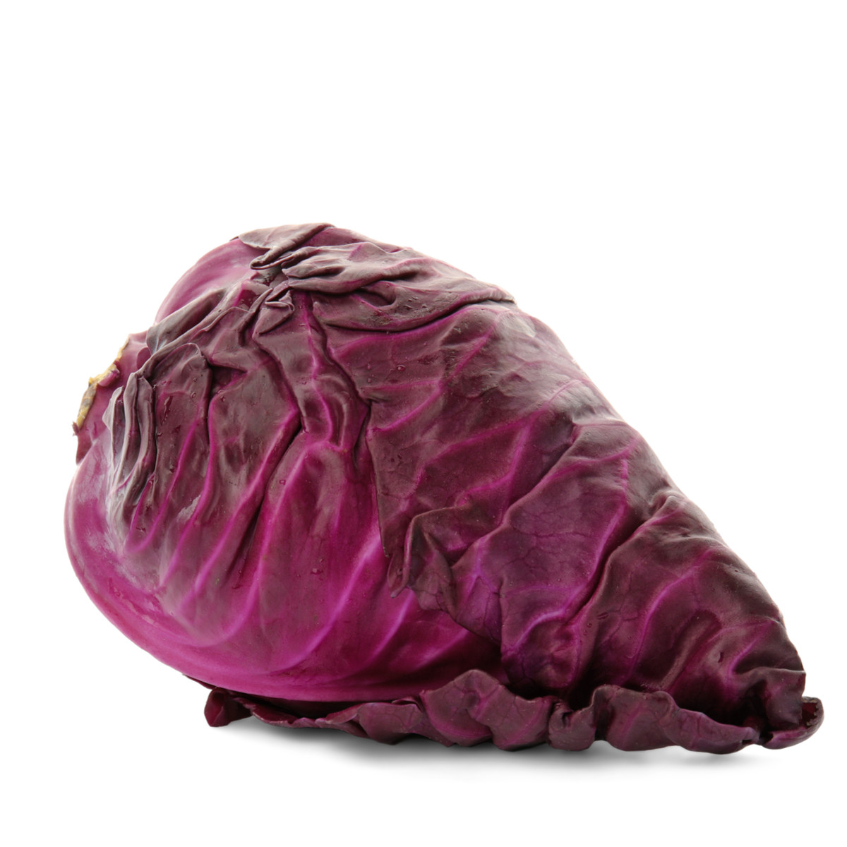 BIO Zelí červené Kalibos - Brassica oleracea capitata - bio semena zelí - 30 ks