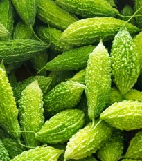 Hořká okurka Naja - Momordica sp. - semena okurky - 6 ks