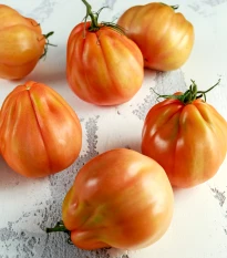 BIO Rajče Coure di Bue oranžové - Solanum lycopersicum - bio semena rajčete - 8 ks