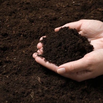 Substrát pro jahody a drobné ovoce - speciální substrát - 100 g