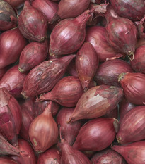 BIO Cibule Red baron - Allium cepa - bio semena cibule - 100 ks