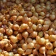 Cebula szalotka Yellow Moon - Allium cepa - cebulki - 250 g