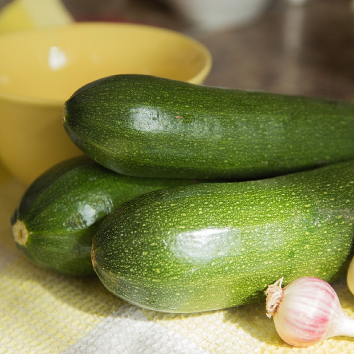 Cuketa Baccara F1 - Cucurbita pepo - semena cukety - 7 ks