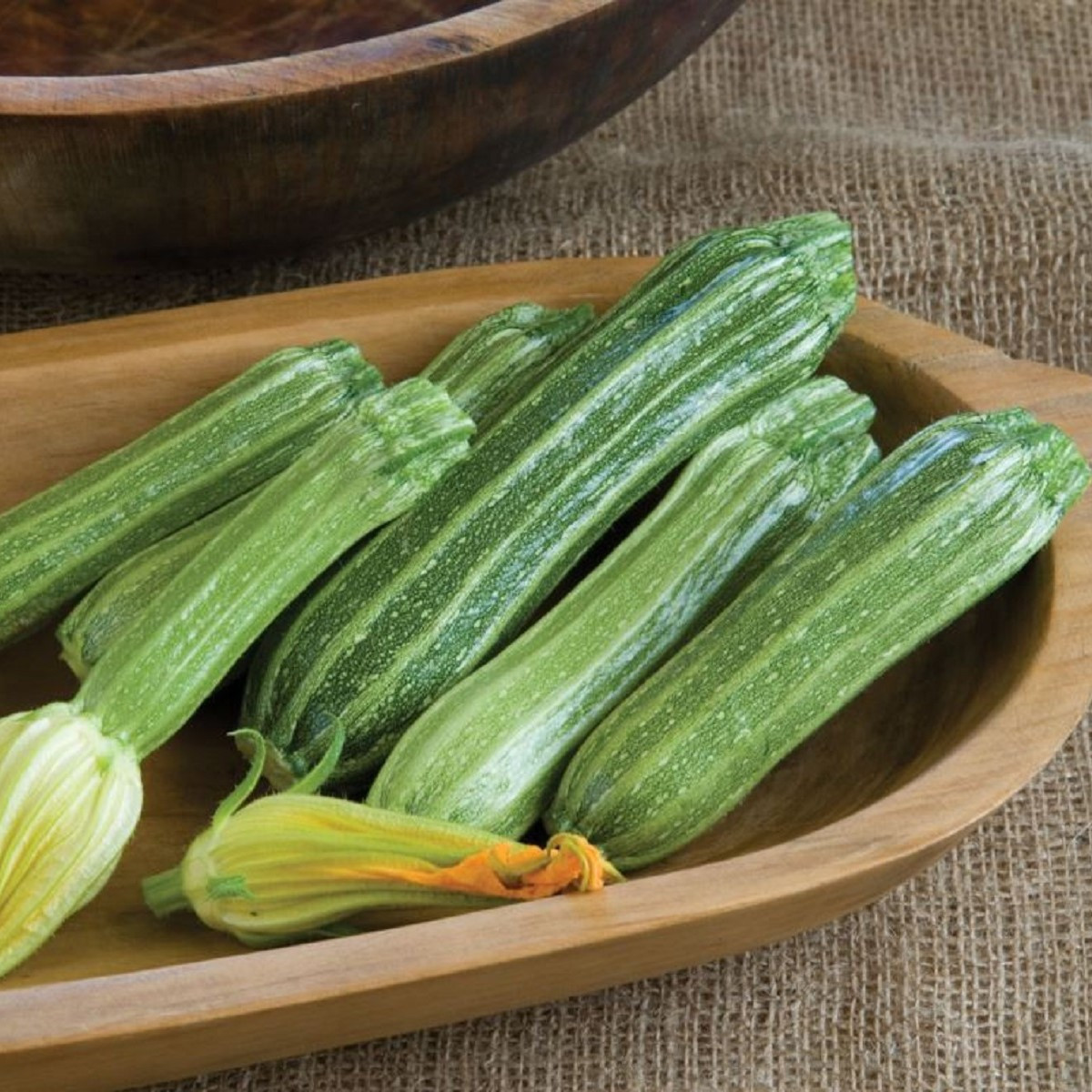 Cuketa Costata Romanesco - Cucurbita pepo - semena cukety - 8 ks