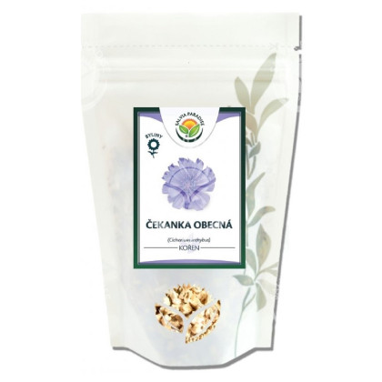Čekanka obecná - Cichorium inthybus - celý kořen - 100 g