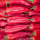 BIO Paprika Korosko - Capsicum annuum - bio semena papriky - 6 ks