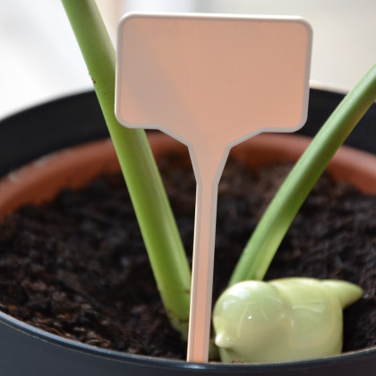 Jmenovky pro označení sazenic béžové - plastové - 10 ks