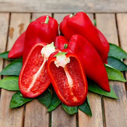 Paprika Snacking Red - Capsicum annuum - semena papriky - 5 ks