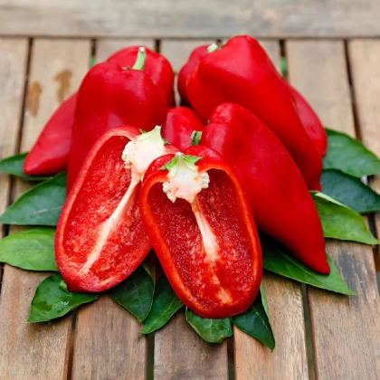Papryka Snacking Red F1 - Capsicum annuum - nasiona papryki - 5 szt.