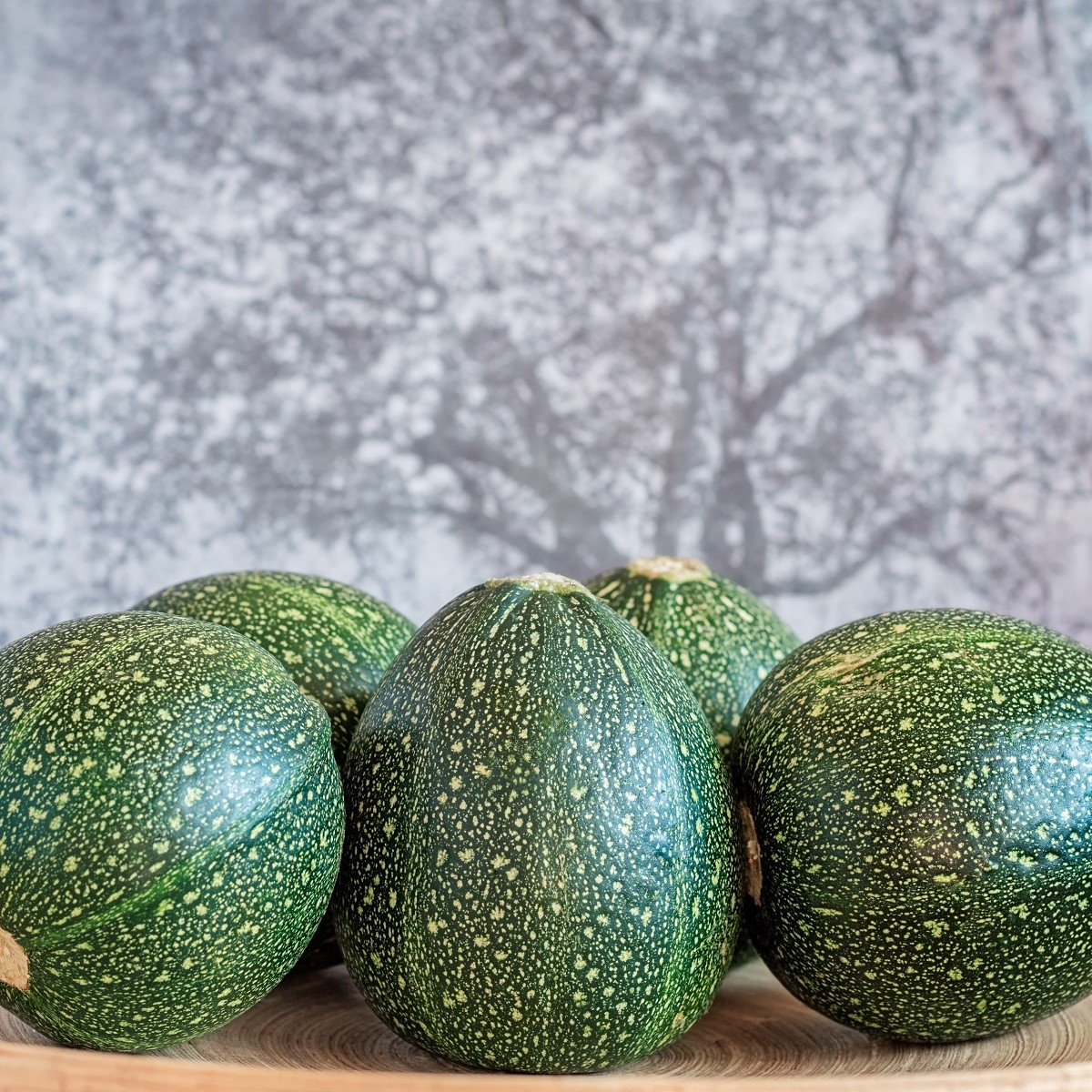 Cuketa Eight Ball F1 - Cucurbita pepo - semena cukety - 4 ks