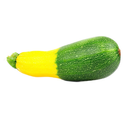 Cuketa Zephyr F1 - Cucurbita pepo - semena cukety - 6 ks