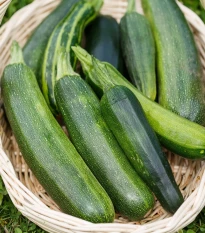 BIO Cuketa Zuboda - Cucurbita pepo - bio semena cukety - 8 ks