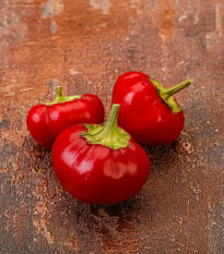 Chilli Large Red Cherry Hot - Capsicum annuum - semena chilli - 7 ks