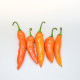 Chilli Aji Amarillo - Capsicum annuum - semena chilli - 7 ks