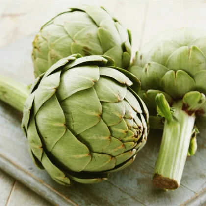 Artyčok Green Globe - Cynara scolymus - semena artyčoku - 20 ks