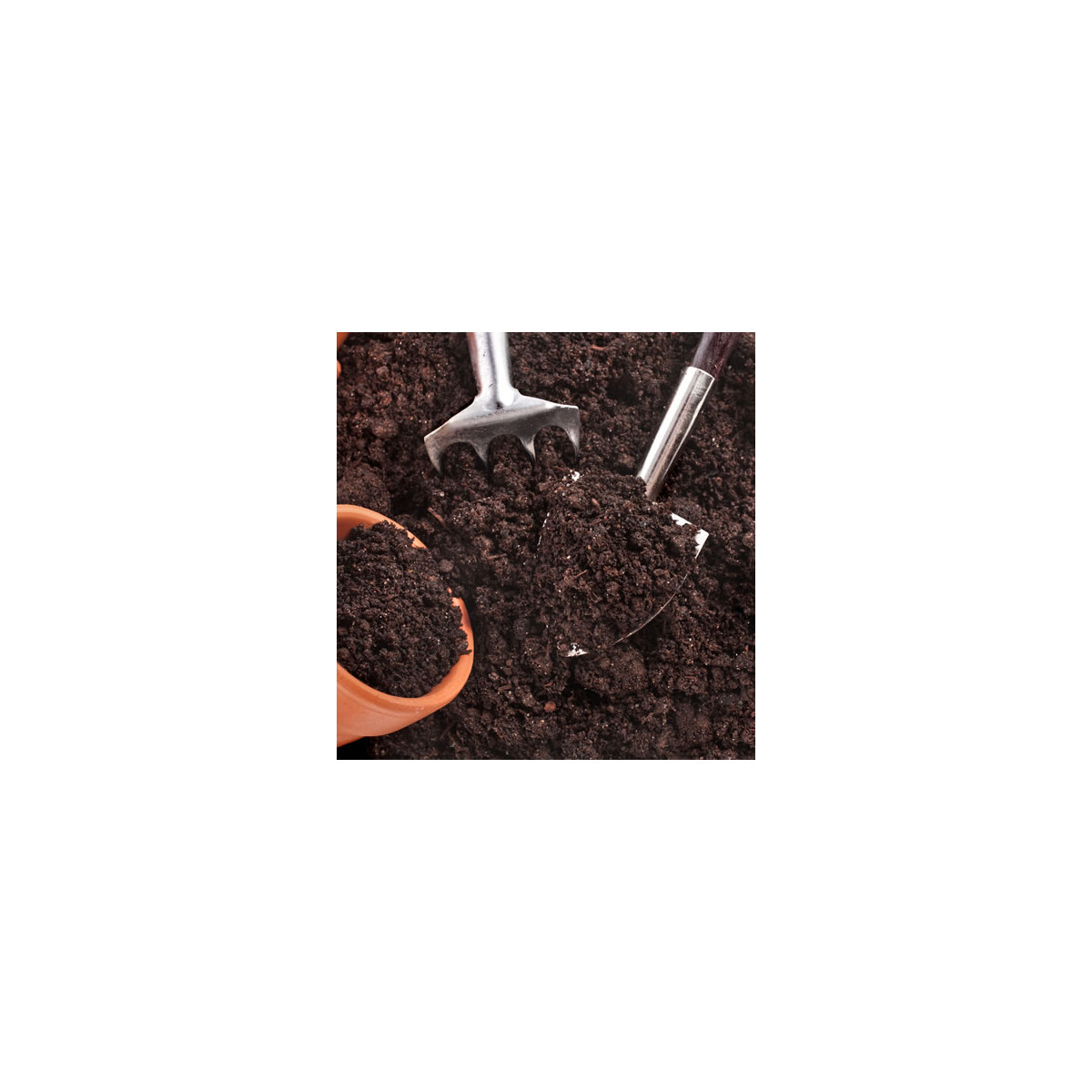 Substrát pro pokojové rostliny - speciální substrát - 100 g