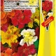 Lichořeřišnice popínavá Doppelte Glanz směs - Tropaeolum majus - semena lichořeřišnice - 15 ks