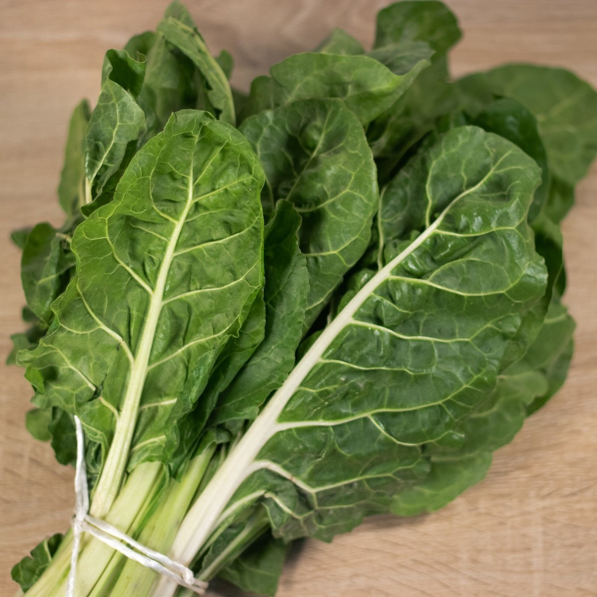 Mangold řapíkatý Lusiana - Beta vulgaris - semena mangoldu - 50 ks