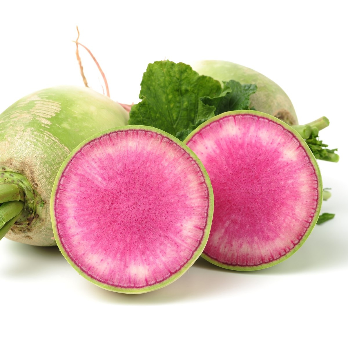 Ředkev setá Red Meat - Raphanus sativus - semena ředkve - 80 ks