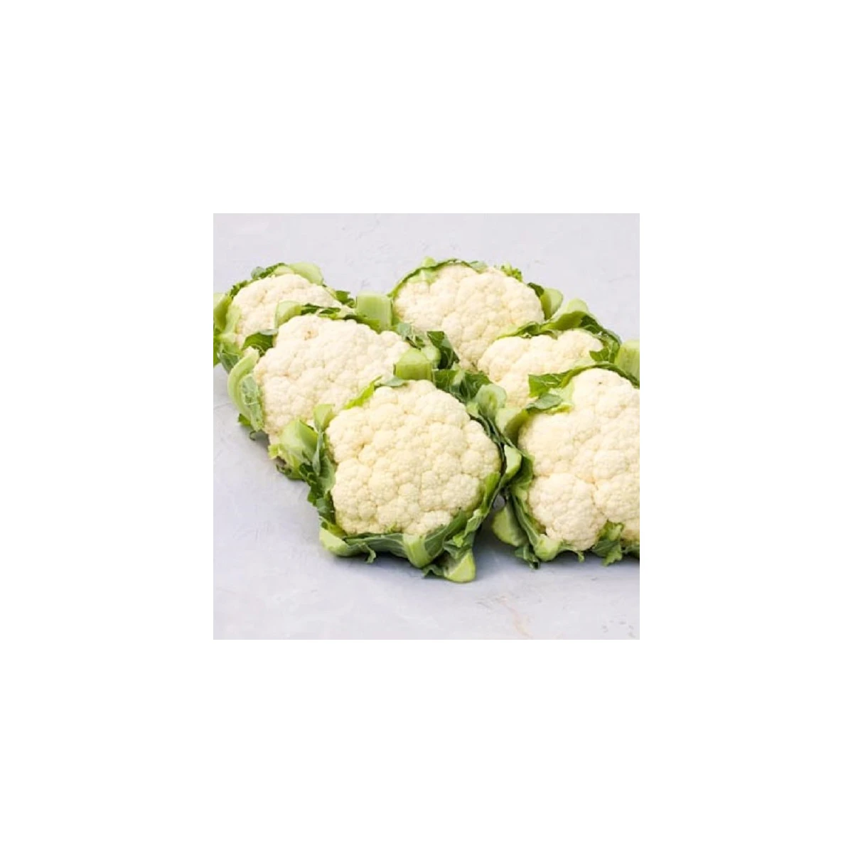 BIO Květák Amabile KS - Brassica oleracea - bio semena květáku - 20 ks