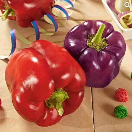 Paprika Beluga lilac F1 - semena - capiscum annuum - 6 ks