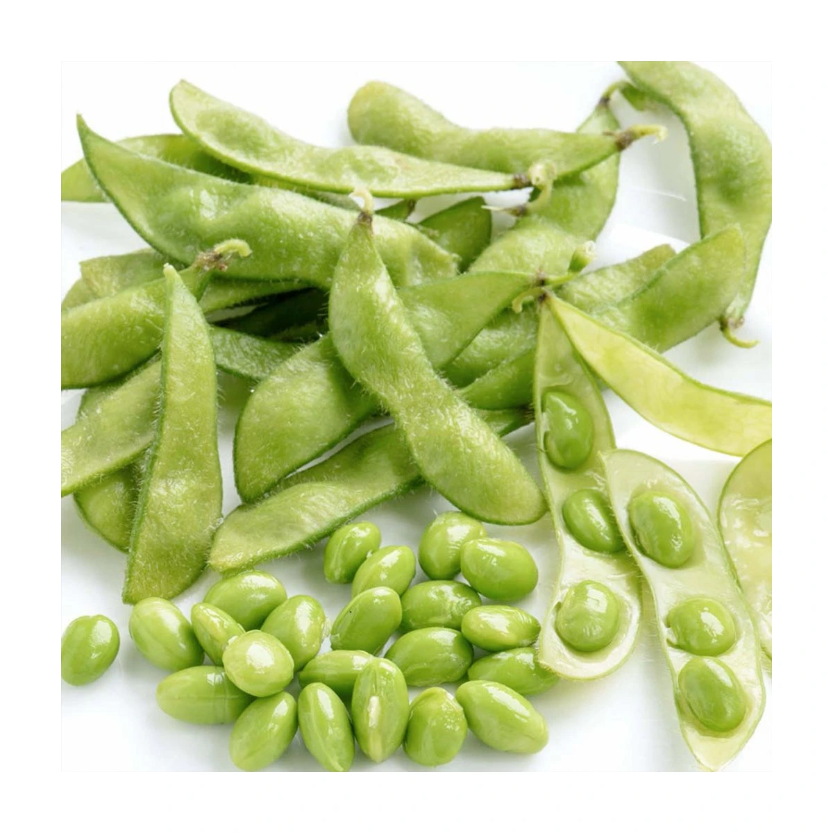 BIO Sója Green Shell - Glycine max - bio semena sóji - 20 ks