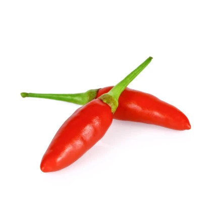 Chillii Thai Hot Birds Eye - Capsicum annuum - semena chilli - 6 ks