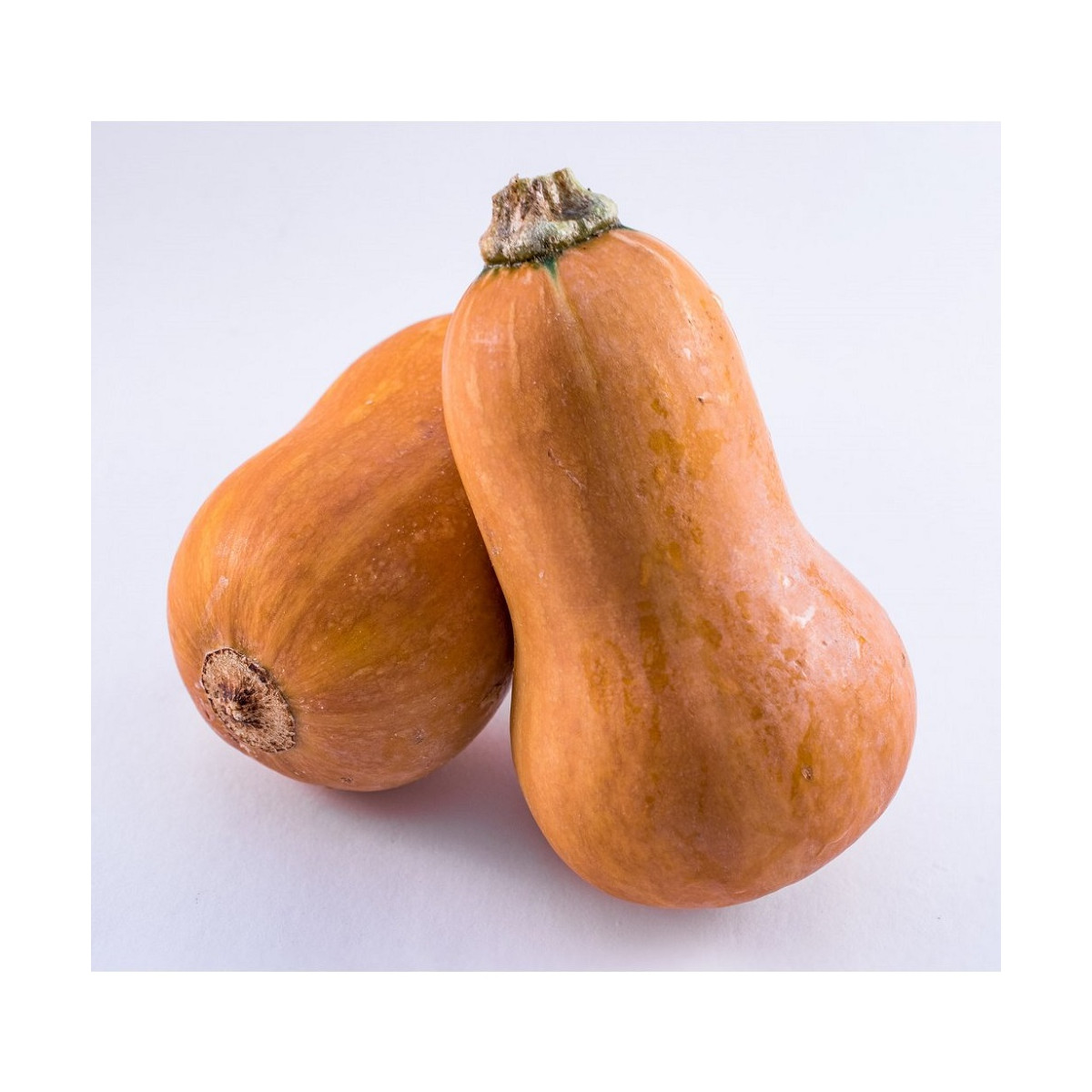 Dýně máslová Honeynut - Cucurbita moschata - semena dýně - 6 ks