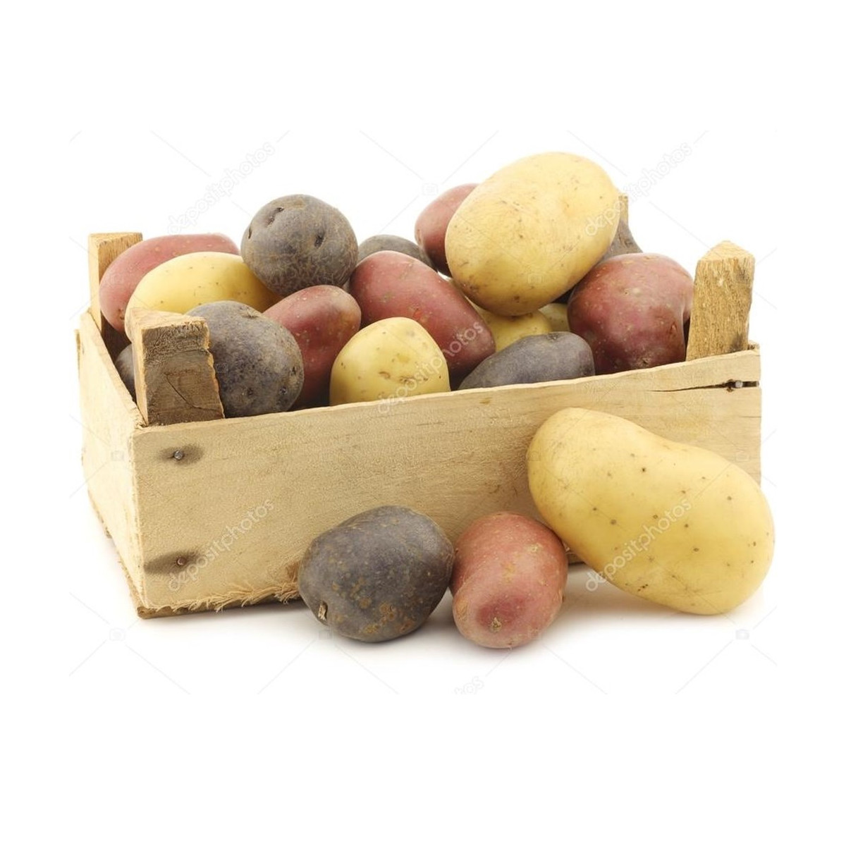 Sadbové brambory - 4 druhy - Solanum tuberosum - 12 ks