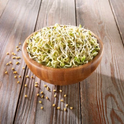 BIO Pískavice řecké seno - bio semena na klíčení - 50 g