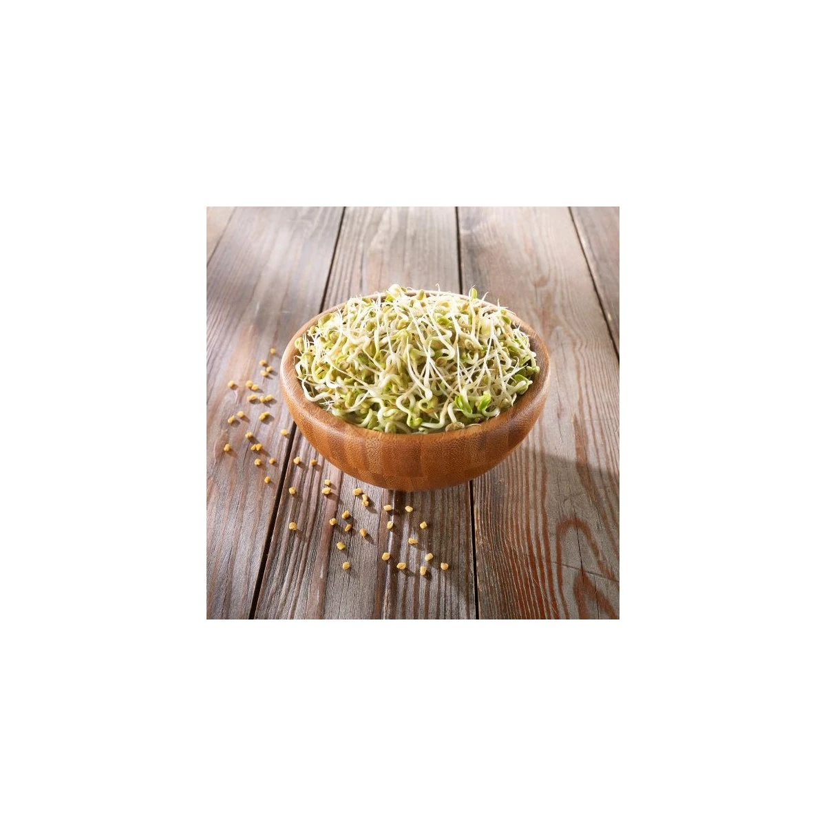 BIO Pískavice řecké seno - bio semena na klíčení - 50 g