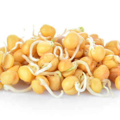 BIO Cizrna beranní - bio semena na klíčení - 200 g