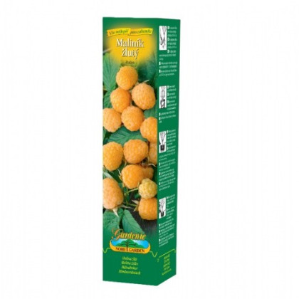 Maliník žlutý - Rubus idaeus - prostokořenná sazenice maliníku - 1 ks