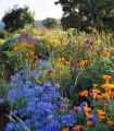 Jednoleté květy pro včely - semena Planta Naturalis - směs - 40 g