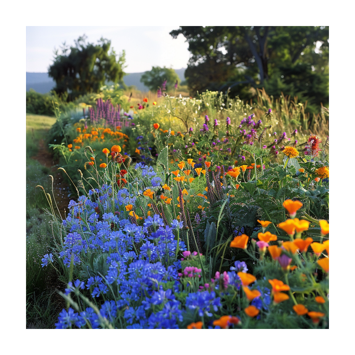Jednoleté květy pro včely - semena Planta Naturalis - směs - 40 g