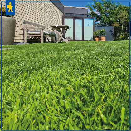 Trawnik Comfort dla kosiarek robotycznych – nasiona trawy – Kiepenkerl