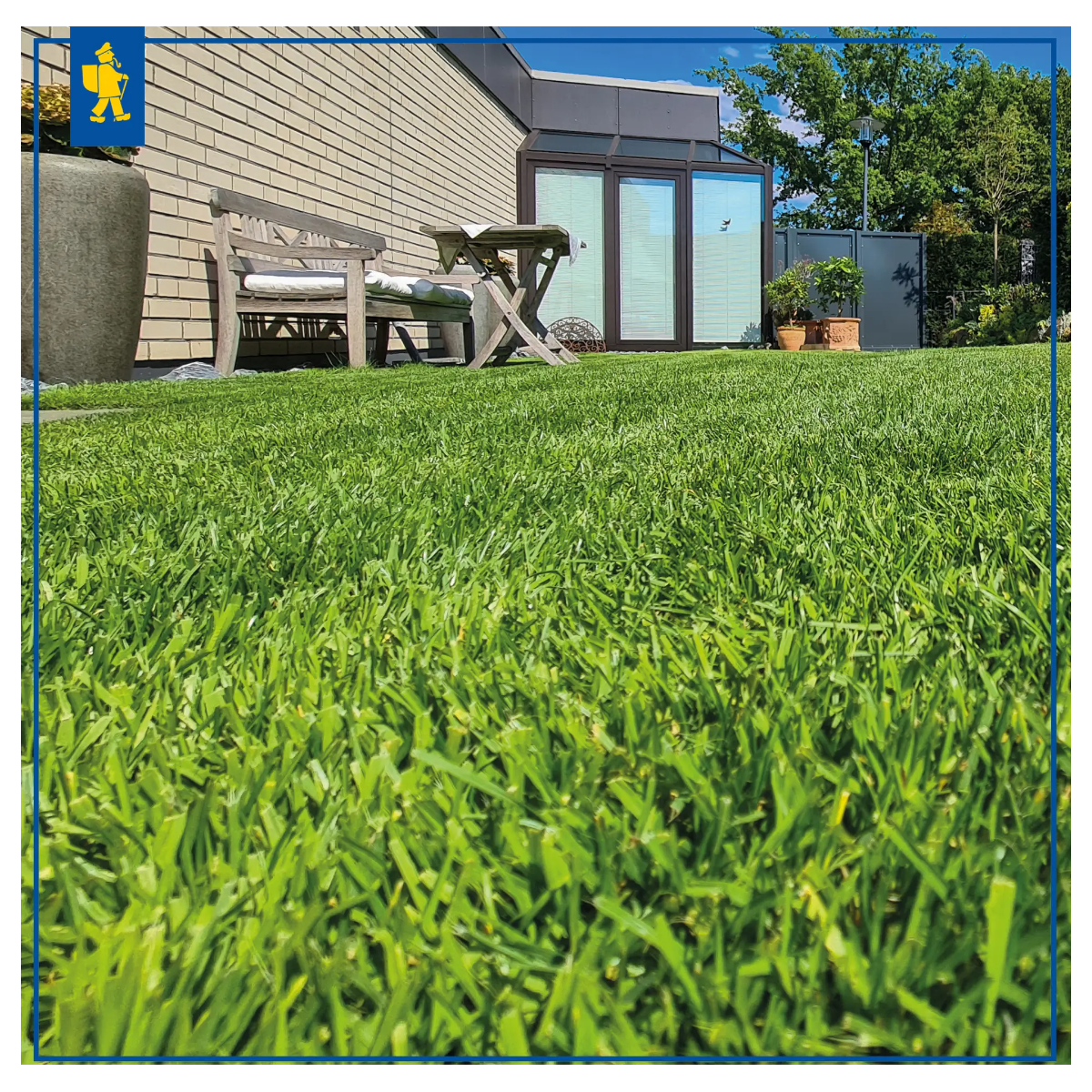 Trawnik Comfort dla kosiarek robotycznych – nasiona trawy – Kiepenkerl