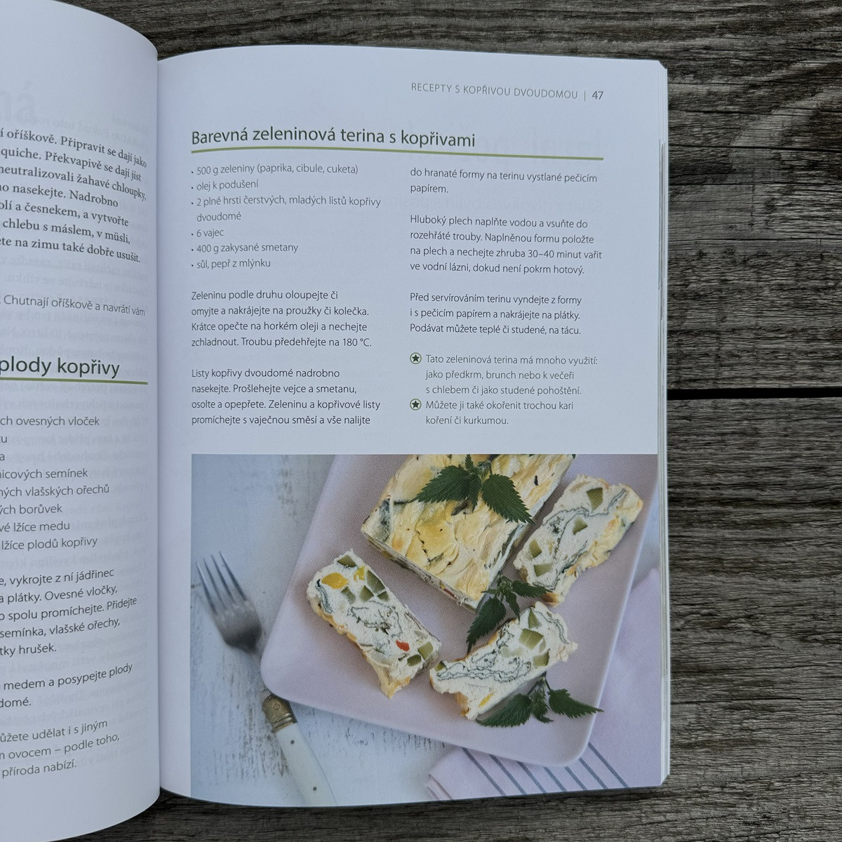 Léčivé byliny v květináči a na zahradě - kniha - 1 ks