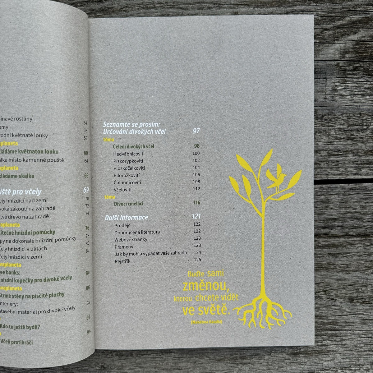 Jak zachránit včely - kniha - 1 ks