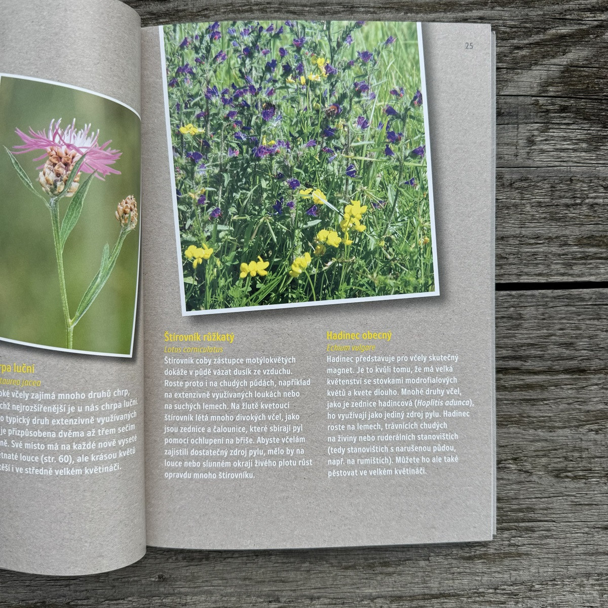 Jak zachránit včely - kniha - 1 ks