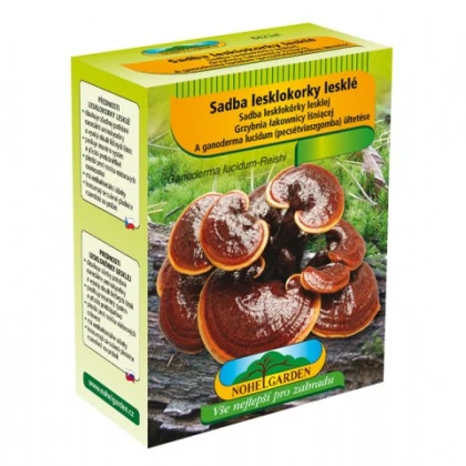 Sadba Lesklokorka lesklá - Ganoderma lucidum - sadba - 250 ml