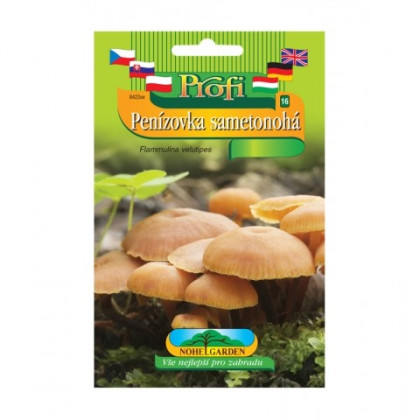 Sadba Penízovka sametonohá - Flammulina velutipes - sadba - 1 ks
